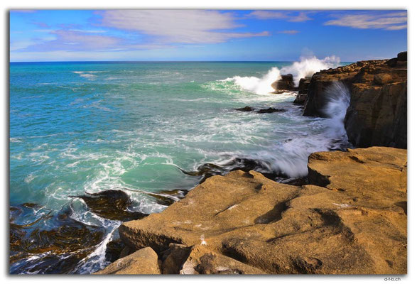 NZ0918.Curio Bay,Wave