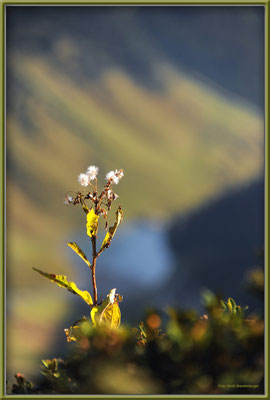 A0419.Schlappin.CH