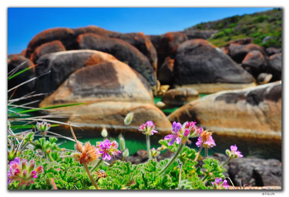 AU0805.Elephant Rocks