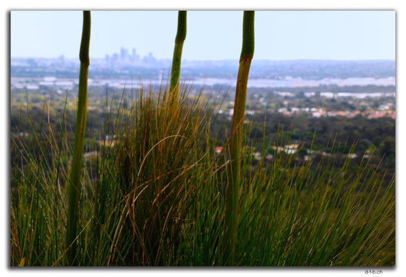 AU0684.Perth