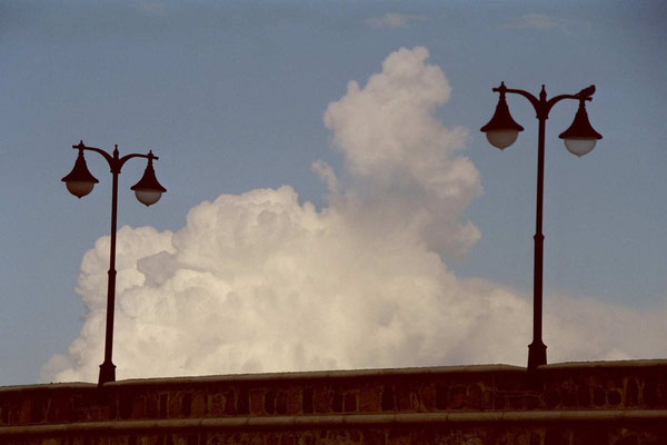 Spanien,Teneriffa.Puerto-Cruz