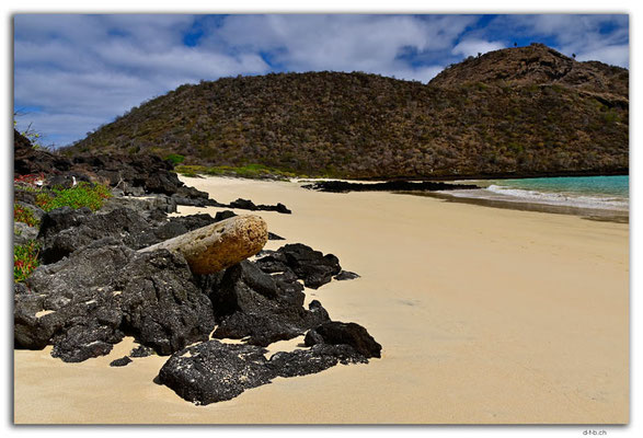 EQ0130.Floreana Island.Punta Cormorant.East Beach