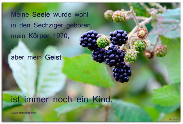 S0224.Brombeeren.Bremerhaven.DE. Text: d-t-b