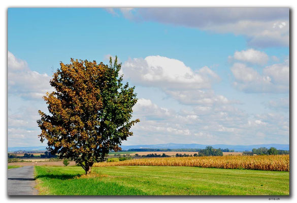 CZ107.Herbstseite in Mittelmähren