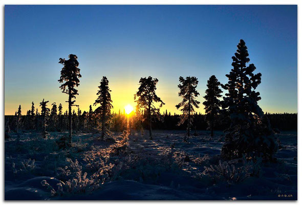 SE0085.Lapland Wilderness
