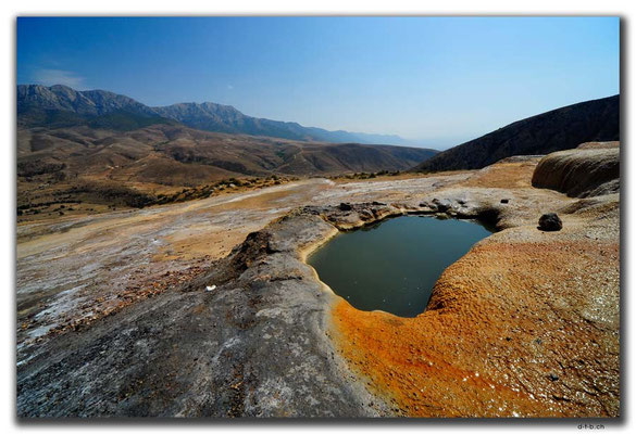 IR0290.Badab Soort