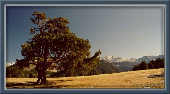 A0133.Coll d'Ordino.Andorra