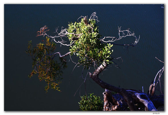 AU1272.Launceston.Cataract Gorge