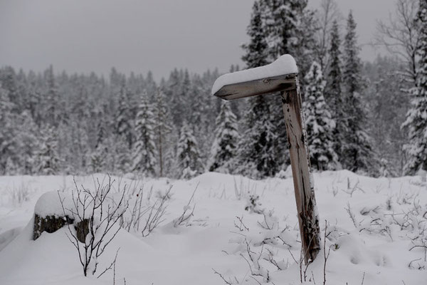 Schweden,Moskojärvi2