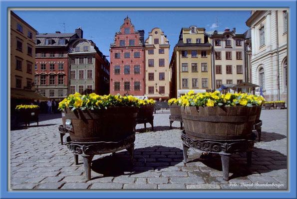 A0181.Stor Torget.Stockholm.SE