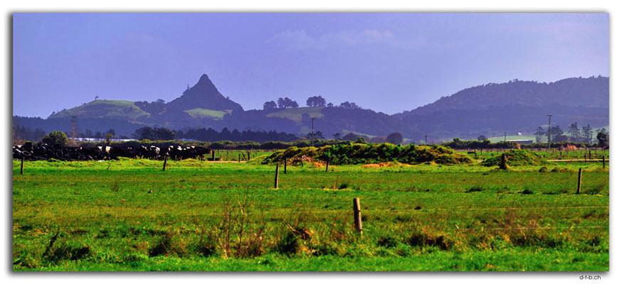 NZ0064.Tokatoka Peak