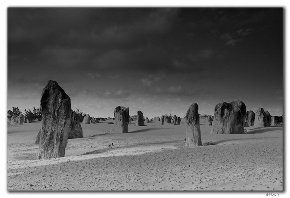 AU0600.Nambung N.P.Pinnacles