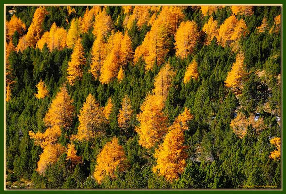 A0703.Nationalpark.CH