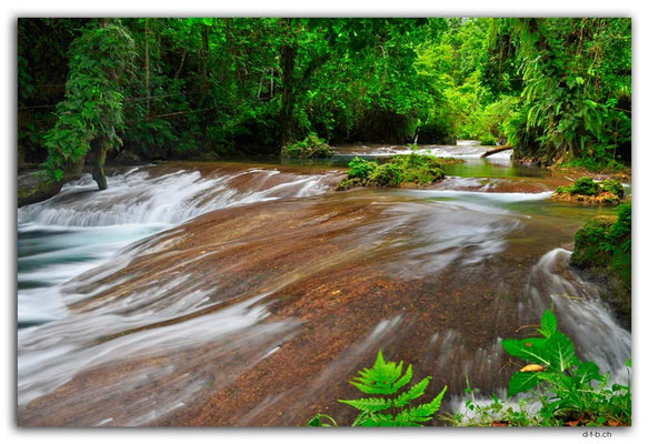 VT0110.Efate.Eden on the river