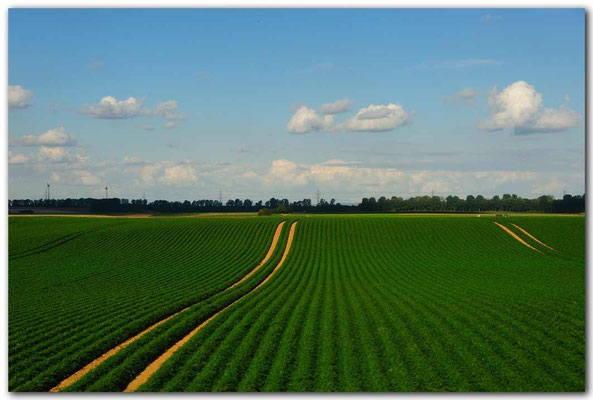 PHK104 Landschaft