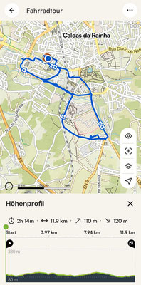 Map 198: Caldas da Rainha, Trailer delivery to the workplace