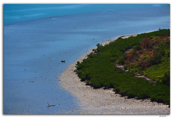 FJ0069.Vatia Lookout Point.Mangroves