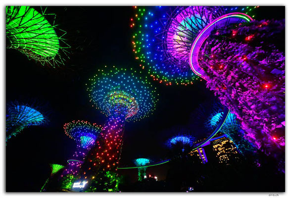 SIN0073.Gardens by the Bay.Supertrees Lightshow