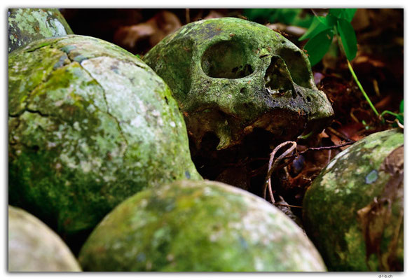 SB0030.Malaita.Skull Island.