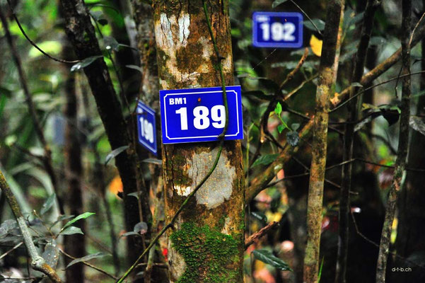 Vietnam.Bach Ma N.P. Schilderwald