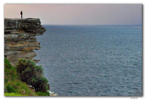 AU1624.Sydney.North Bondi Cliff
