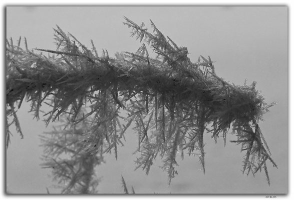 GW0657.Ice crystals