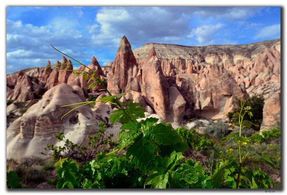 TR0771.Göreme.Red Valley