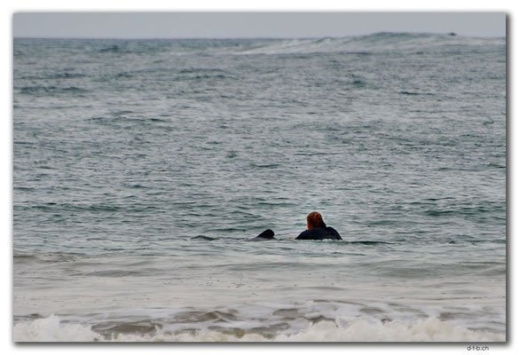 NZ0936.Curio Bay. Porpoise Bay.Debbie swims with Hector's Dolphins