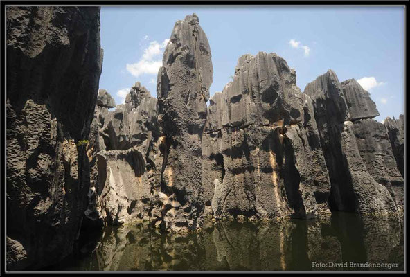 C0844Stone Forest