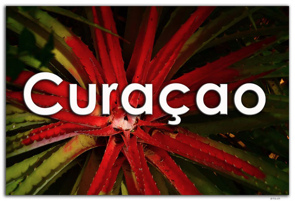 Fotogalerie Curaçao / Photogallery Curaçao