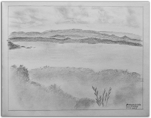 291.Skizze.Brokopondo Lake.Suriname