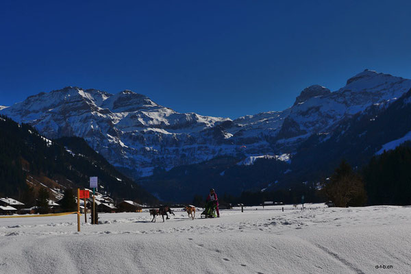 CH1394.SH-Rennen Lenk.Lucaroni Doris