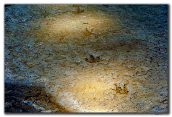 GE054.Sataplia.Dinosaurierspuren