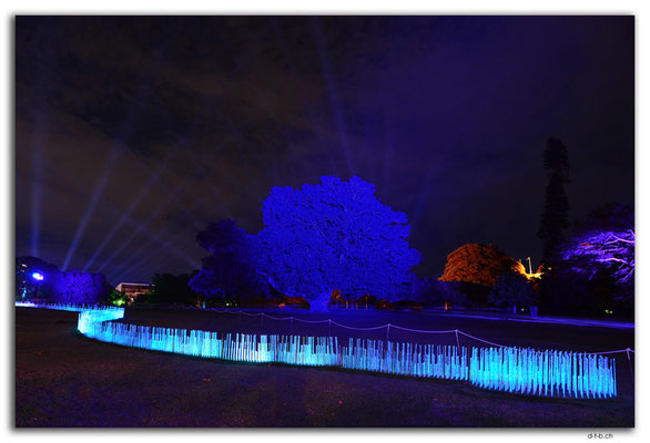 AU1578.Sydney.Vivid.Installation