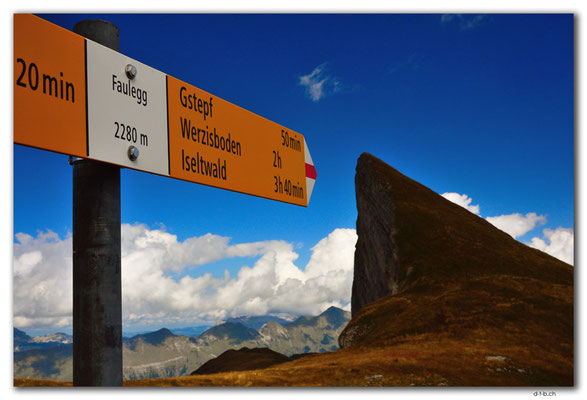 GW0446.Faulegg