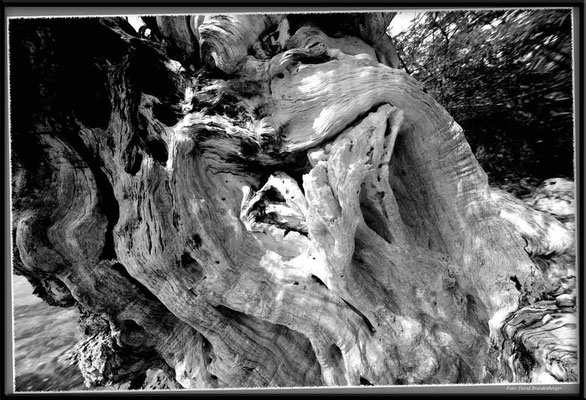 JM097.Holz.Treasure Beach