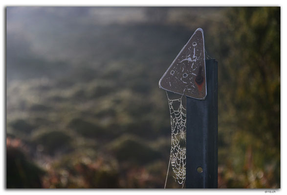 AU1362.Overland Track.Spiderweb at the sign