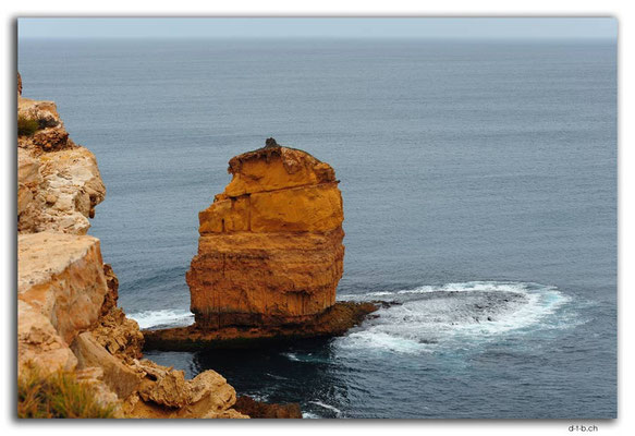 AU1007.Eyre Peninsula.Cummings Lookout