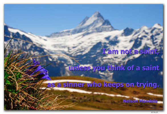 T058.Enzian and Schreckhorn.Grindelwald.Switzerland.Nelson Mandela