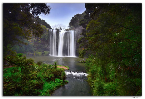 NZ0179.Whangarei Falls