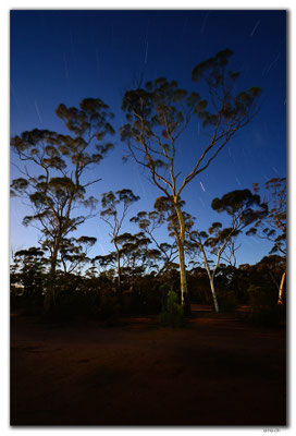 AU0886.Bromus Dam.Gumtree