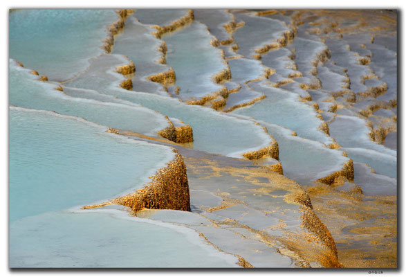 IR0289.Badab Soort