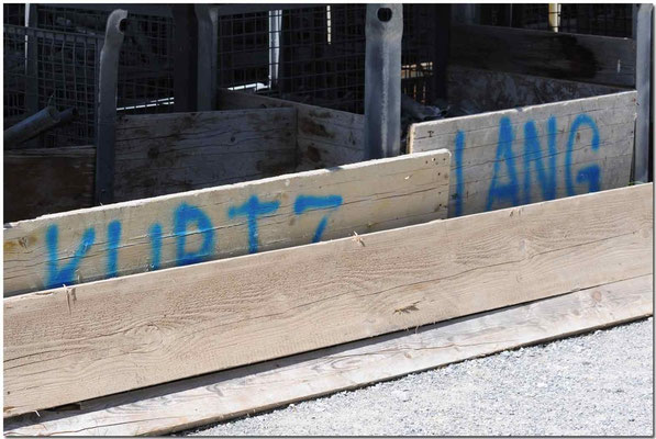 Schweiz, Davos. "Kurtz"