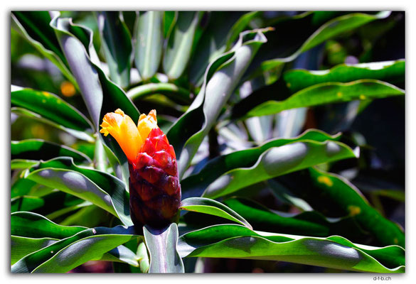 SIN0094.Botanical Garden