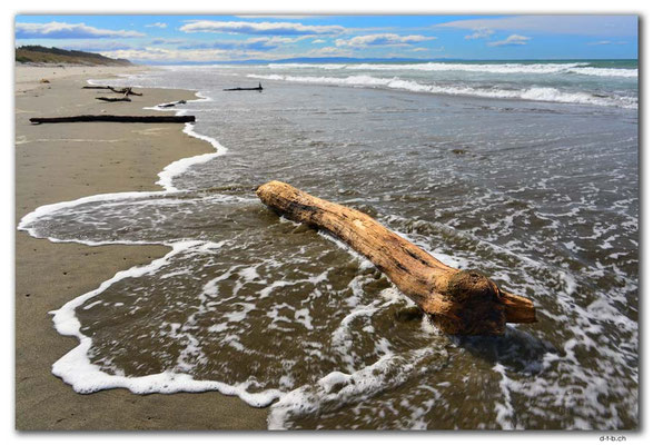 NZ1000.Christchurch.Spencerville Beach