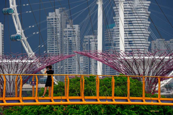 Singapore015