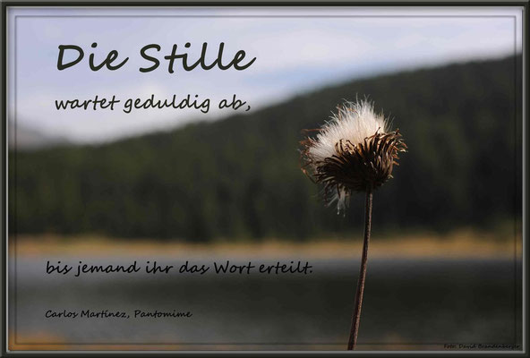 S0113.Stelzersee.St.Moritz,CH.Text: Carlos Martinez
