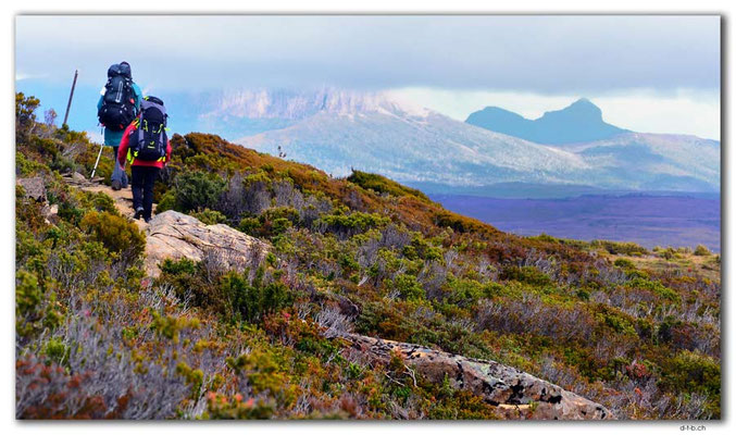 AU1347.Overland Track