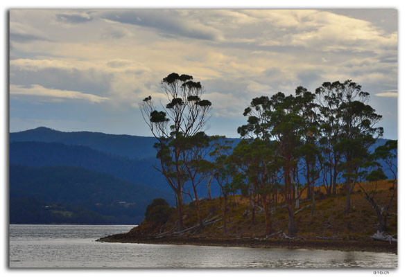 AU1315.Bruny Island.Apollo Bay.Robert Point