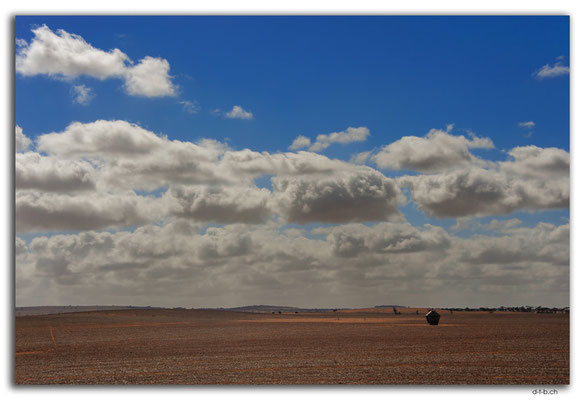 AU1079.York Peninsula.Weizenfeld